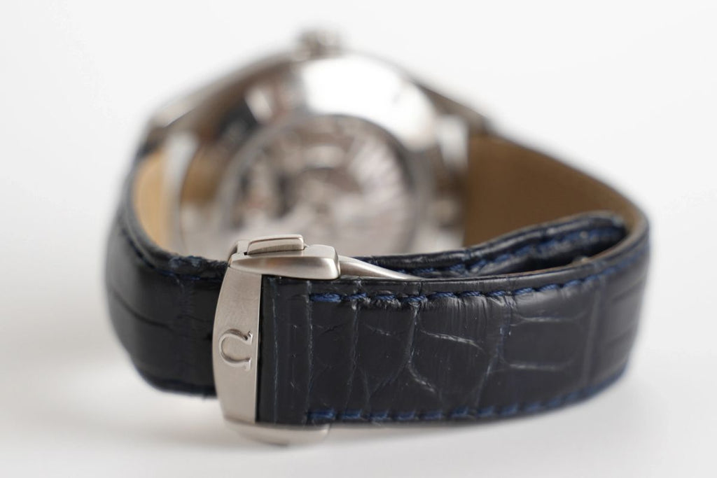 Omega Seamaster Aqua Terra GMT